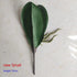 Eleganza Italiana 1 PCS Artificial Green butterfly orchid Leaf Plastic Flower Leaf Home Wedding Party Decoration F11 Streetwear high fashion shein amazon temu target Walmart online