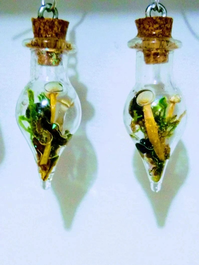 Eleganza Italiana Mushrooms glass jar earrings Moss terrarium earrings Real mushroom earrings Tiny mushroom jewelry Plant giftday y2k earrings Streetwear high fashion shein amazon temu target Walmart online